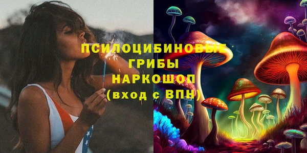 прущая мука Верея